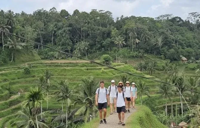 Best walking tour through Bali rice fields